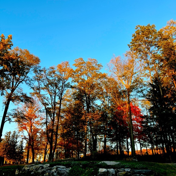 Meet your Posher, Cranny B - Picture 1 of 1